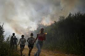 España: Incendios Devastan 30,000 Hectáreas en 24 Horas