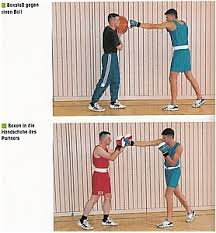 Siegfried und Ulf Ellwanger: Boxen basics: Training - Technik ...