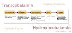 Cholesterin - AOK