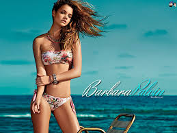 Résultat de recherche d'images pour "barbara palvin"