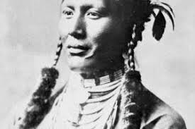 Image result for Comanche