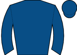 Woodbine Results: Bet365 Summer Stakes Grade 1 Outcomes Announced