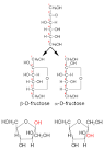 Mannose - , the free encyclopedia