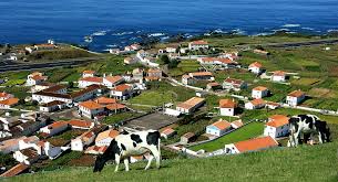 Resultado de imagem para ilha do corvo