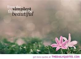 Flower Quotes And Sayings. QuotesGram via Relatably.com
