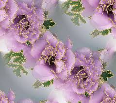 �������� �� ������� ���� �������������