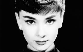Résultat de recherche d'images pour "audrey hepburn cat picture"