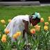 Photos: Showing off their Easter dresses in Fort Wayne's Foster Park