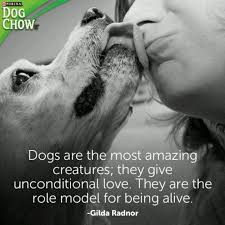 Dogs-- unconditional love. | Animal Lover Quotes | Pinterest ... via Relatably.com