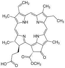 Picture of Pheophorbide