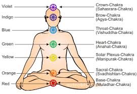 Image result for chakra body