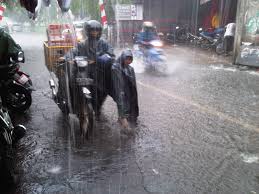 Kalimantan Live - News update