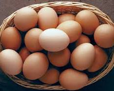 Image of Eggs