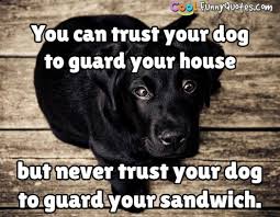 Funny Animal Quotes - Cool Funny Quotes.com via Relatably.com