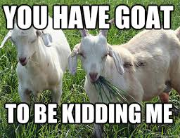 Image result for goats