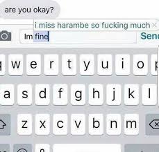 Image result for Im fine meme