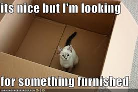 real estate cat