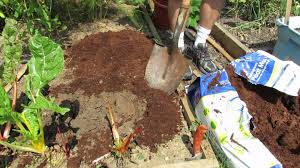 Image result for peat moss