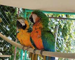 Image of Uncle Sandy's Fun Park, Florida