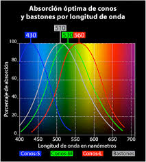 Visión del Color - Conos y Bastones del Ojo - Foucault S.A.