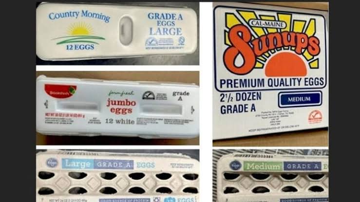 Midwest Poultry Services recalls 1.5 million cartons of eggs amid salmonella outbreak; CDC reports 98 cases, 26 hospitalizations across 17 states