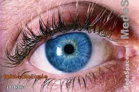 R&eacute;sultat de recherche d'images pour 