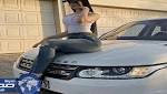 اخبار اليمن شاهد صور لعارضة