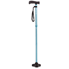 Blue | Freestanding Walking Stick | Expert Verdict