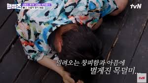 뉴시스 - News update