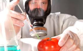 「Food Additives」的圖片搜尋結果