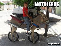 Image result for CHARGE JUMENTO