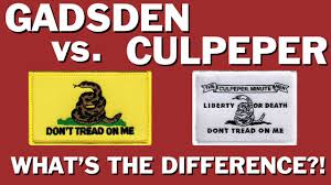 Image result for gadsden flag