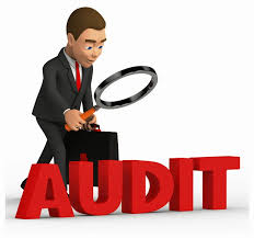 Which External GMP Audit Reports may be used?