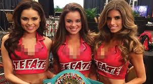 Resultado de imagem para Cardgirls | FightNews.RU