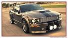 FORD MUSTANG SHELBY GTVoiture d