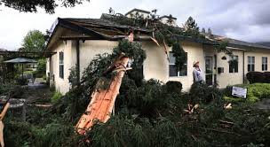 Lightning strikes and splinters tree, damaging church building in Oakmont as spring storm hits