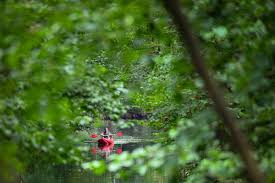 Spreewald: Paddeln durch das grüne Labyrinth Brandenburgs