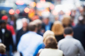 Starfish Search Employee Alex MacLeod's profile photo