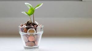 Mint - News update