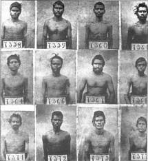 Image result for MAURITIUS INDENTURED INDIANS