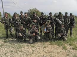Image result for World Foreign Legions