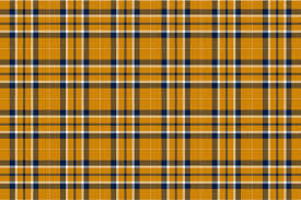 Image result for scottish plaid