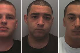 Daniel Rollins, Matthew Evans and Samuel Gold. THREE men responsible for a string of burglaries at Warwickshire businesses were finally caught after ... - daniel-rollins-matthew-evans-and-samuel-gold-50754775-2821437