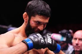 MMA Fighting - News update
