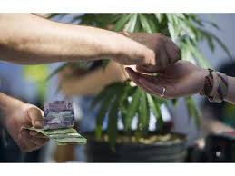 Resultado de imagen de Legalization