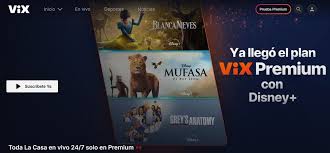 ¿Cuánto cuesta ViX Premium en 2026? Estos son los PRECIOS, planes y PROMOS para ver el 24/7 de 'La Casa de los