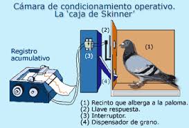 Resultado de imagen para Skinner