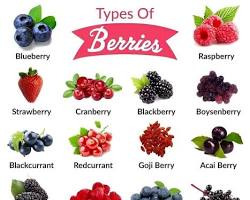 Gambar Berries