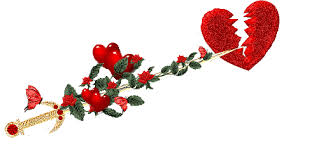 images?q=tbn:ANd9GcQe5zzevZb0VOuS0JTX-G1