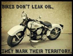 Motorcycle Quotes | Quotes | Pinterest | Motorcycle Quotes ... via Relatably.com